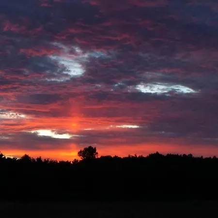 Dom Peyreton Prestige Set In A Charming Wine * Villegouge