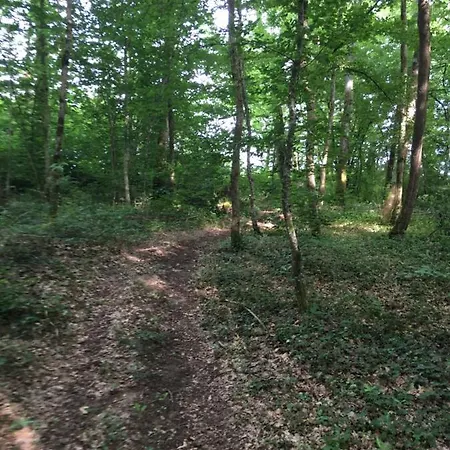 Dom Peyreton Prestige Set In A Charming Wine Ferienhaus