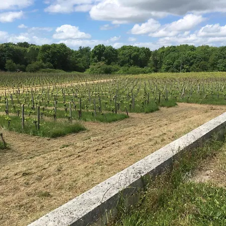 Dom Peyreton Prestige Set In A Charming Wine Villegouge