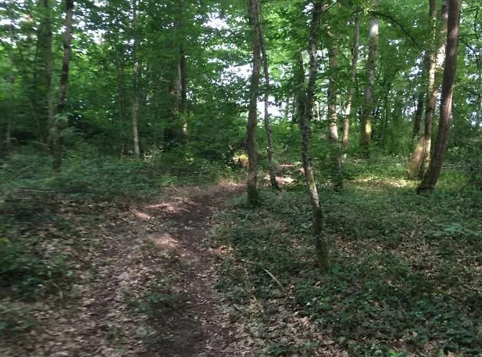 Dom Peyreton Prestige Set In A Charming Wine Feriehus