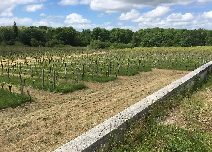 Dom Peyreton Prestige Set In A Charming Wine Villegouge