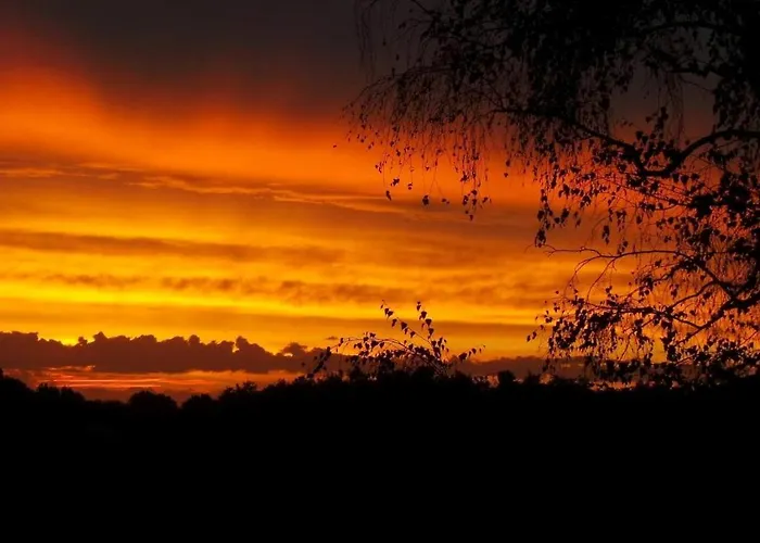 Feriehus Dom Peyreton Prestige Set In A Charming Wine Villegouge